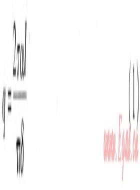 真空管太陽能集熱系統(tǒng)溫度場、速度場模擬