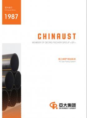 亞大集團(tuán)2018產(chǎn)品聚乙烯燃?xì)庀到y(tǒng)產(chǎn)品