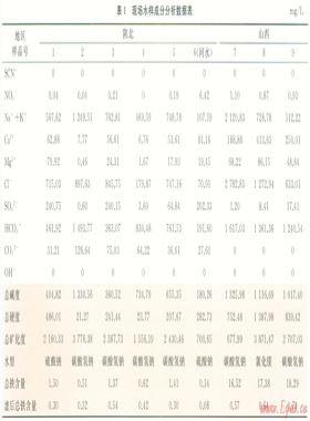 基于示蹤劑的煤層氣井分層產(chǎn)能測試技術