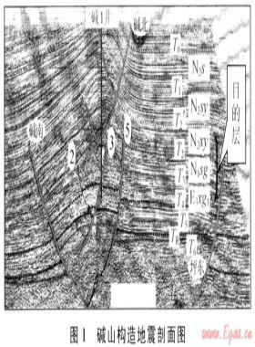 堿山構(gòu)造新近系氣藏特征及天然氣聚集主控因素