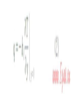 基于安全閥火災(zāi)輻射的LNG全容罐瞬態(tài)熱力耦合分析