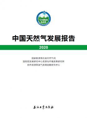 2020中國天然氣發(fā)展報告（含2017、2018、2019、2020）