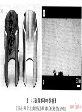天然氣中汞對處理系統(tǒng)中鋁材的腐蝕研究